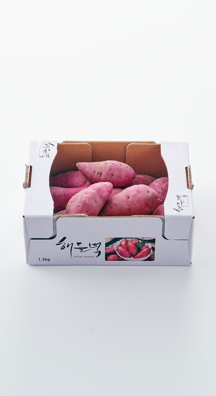 대표썸네일 이미지